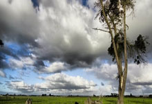 开云体育官网-塔斯马尼亚联外援训练成果显著，力拼强队