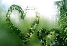 开云体育中国-紫百合凋零客场，寒冬中的佛罗伦萨如何破局重生？