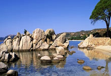 开云体育官网-塔斯马尼亚联外援训练成果显著，力拼强队