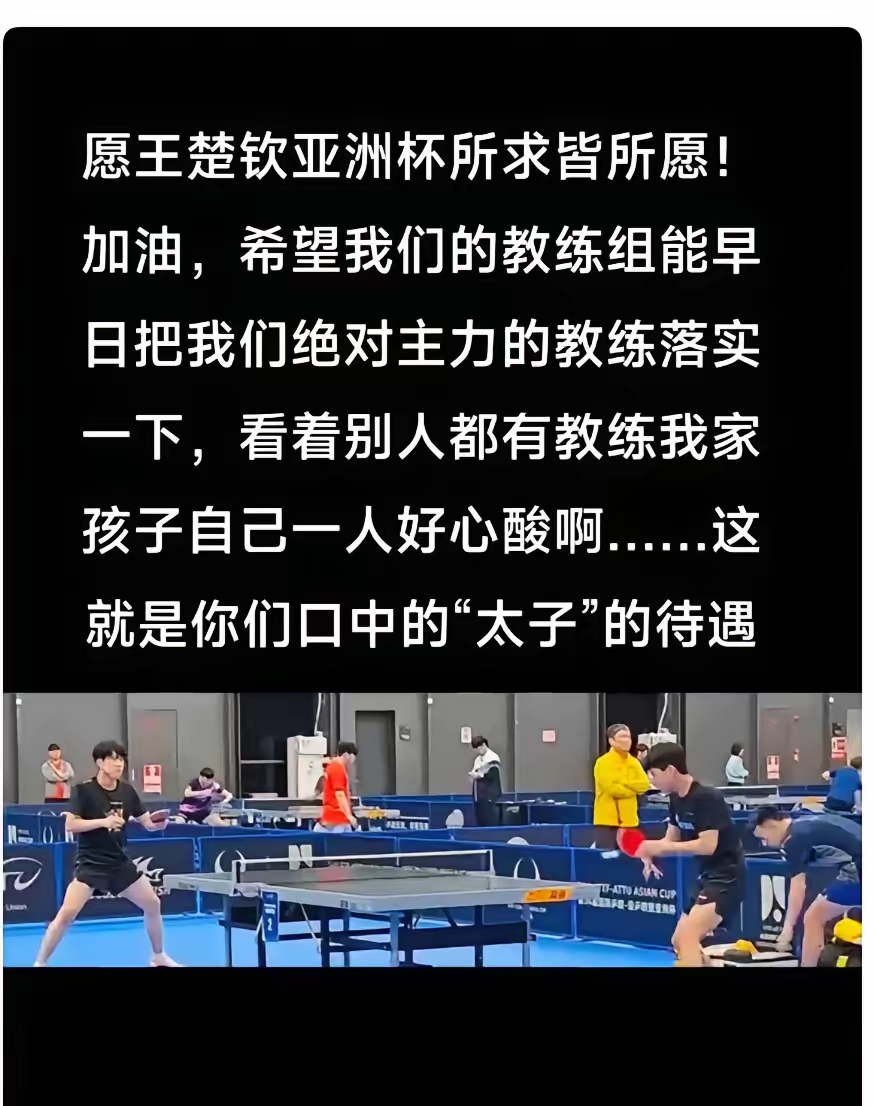 开云官网-包含荷兰小将荣膺最佳新秀，教练大加赞赏的词条