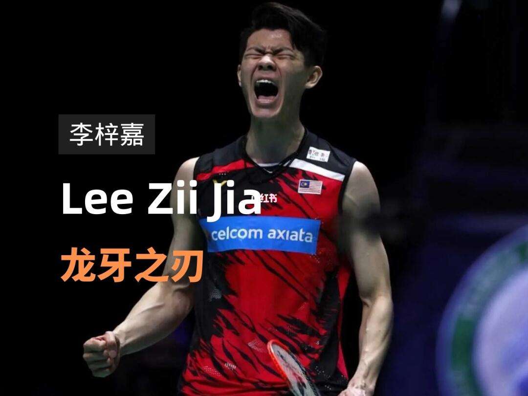 开云下载-德国队逆转丹麦队,李梓嘉统治全场