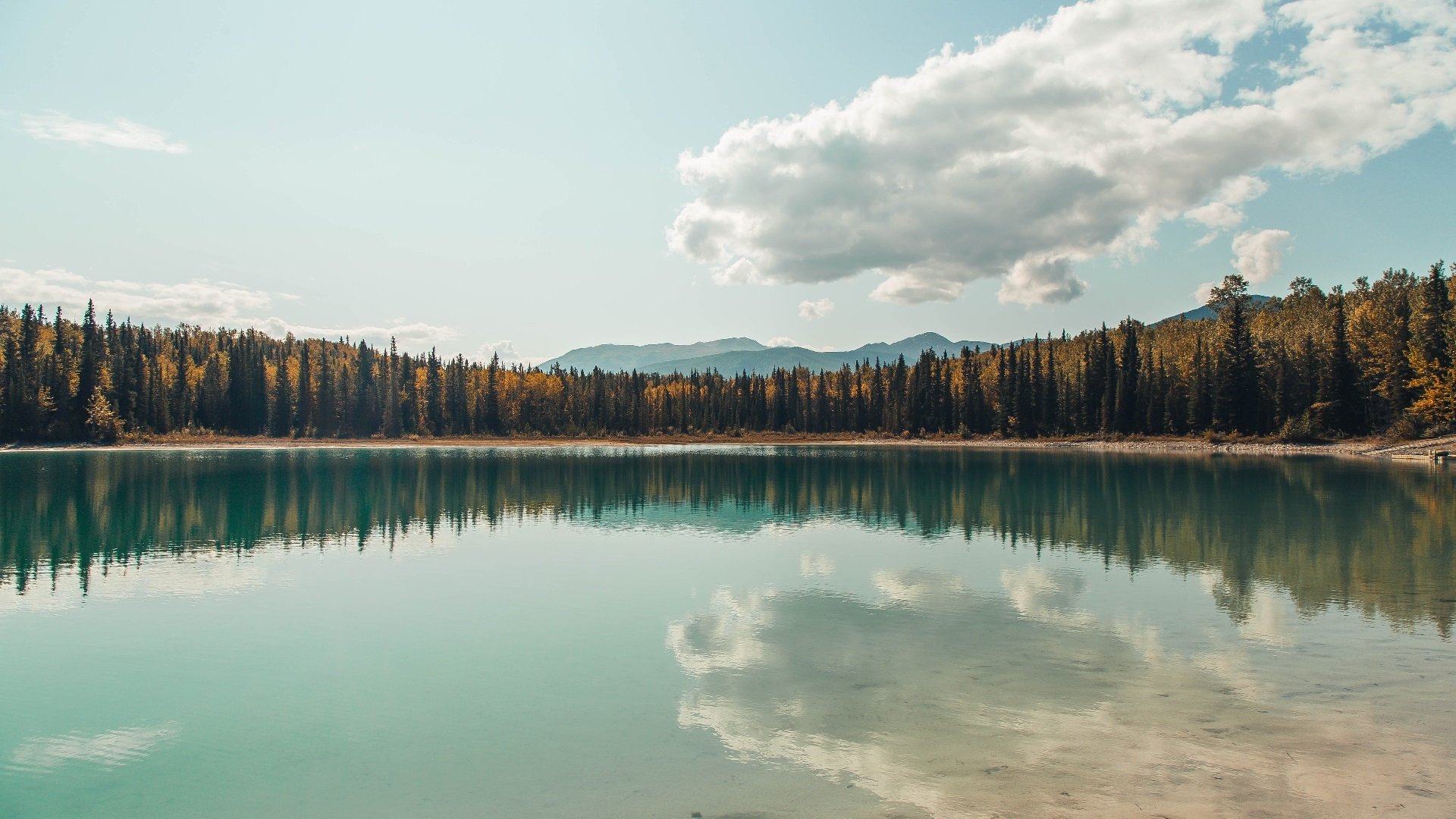 当布伦森化身铁闸，一位非典型巨星的防守艺术，如何改写了现代篮球的认知？