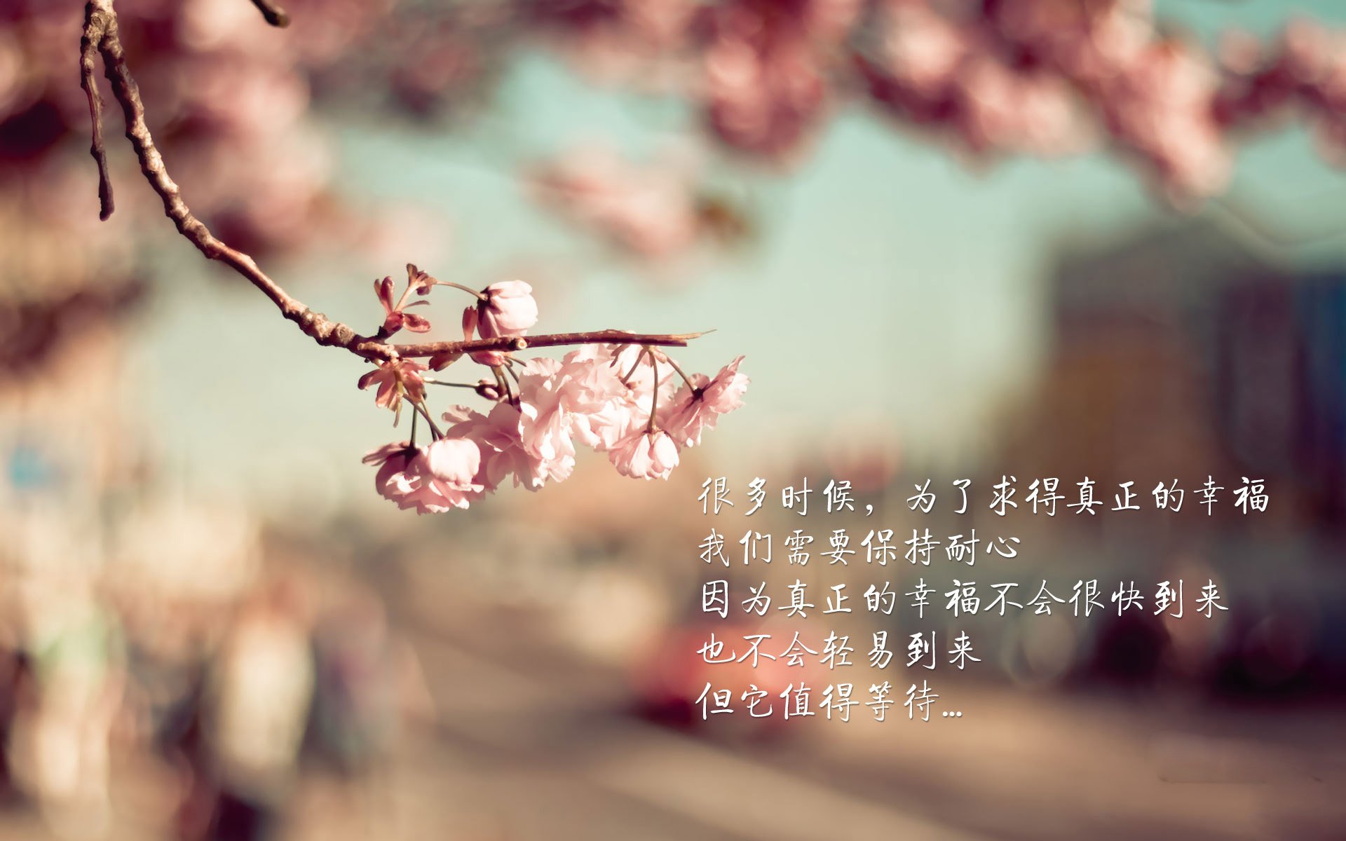 2026世界杯焦点战，勇士王朝的全球盛宴，雷霆青春风暴遭碾压