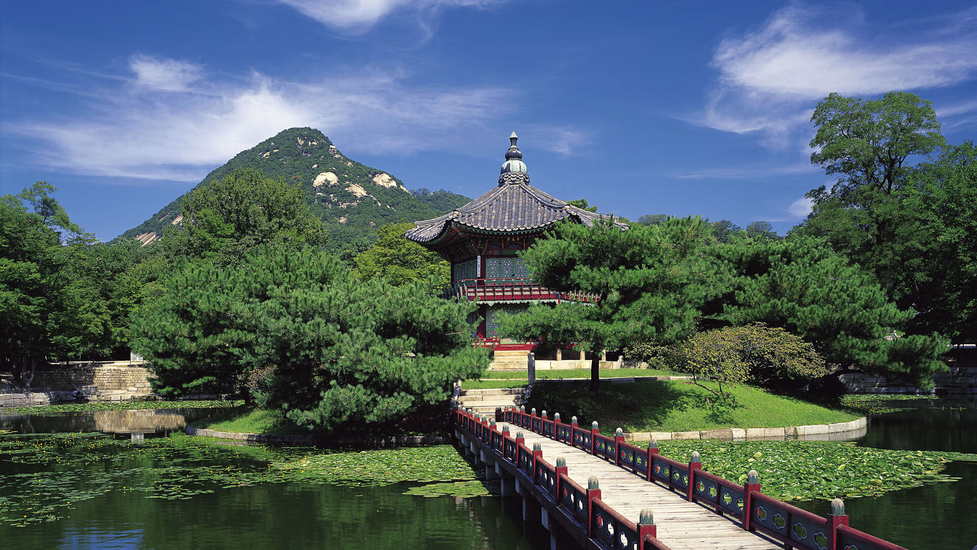 开云官网-小贾伦爆发难救主，鹈鹕窒息时刻完成逆转，上演防守与意志的终极较量