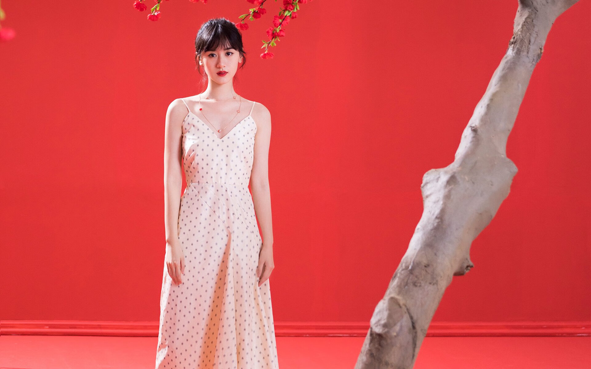 戈贝尔连续得分拉开差距，猛龙主场力克鹈鹕