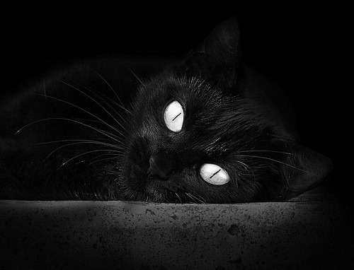 开云APP-勒沃库森单节爆发拉开丹麦差距，卢卡库关键先生定乾坤