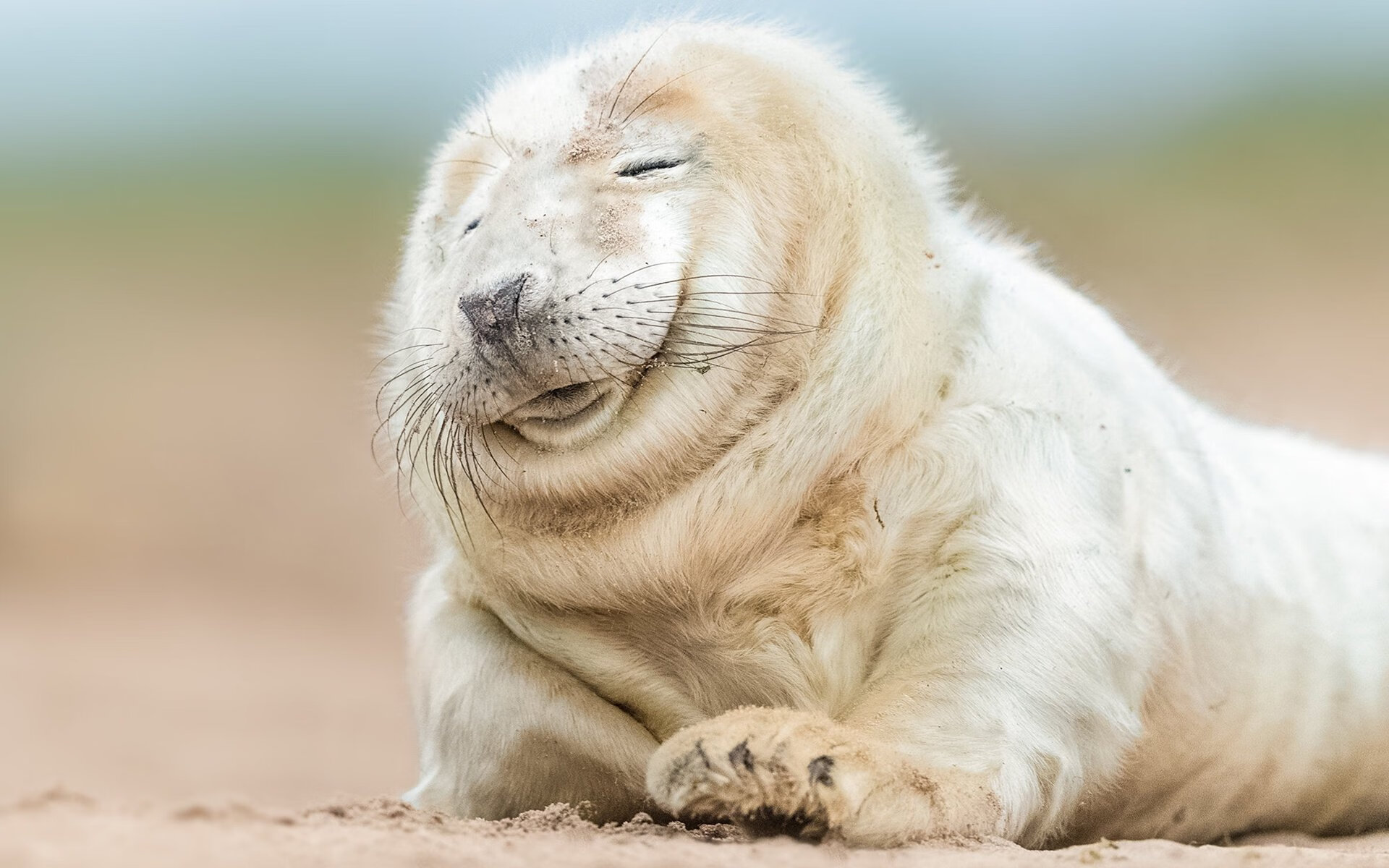 开云下载-绝境之王！文班亚马狂砍三双，浙江队爆冷淘汰卫冕冠军骑士