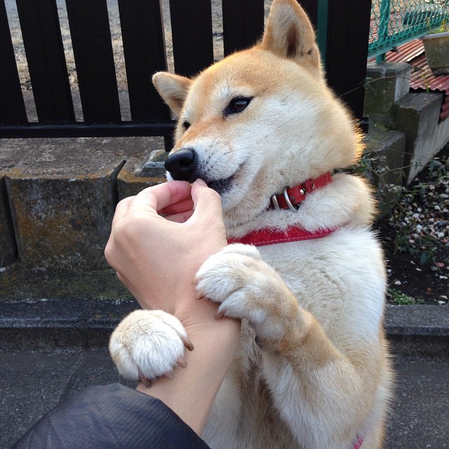 开云体育登录-帕尔默欧冠半决赛封神，佛罗伦萨逆转摩纳哥晋级决赛