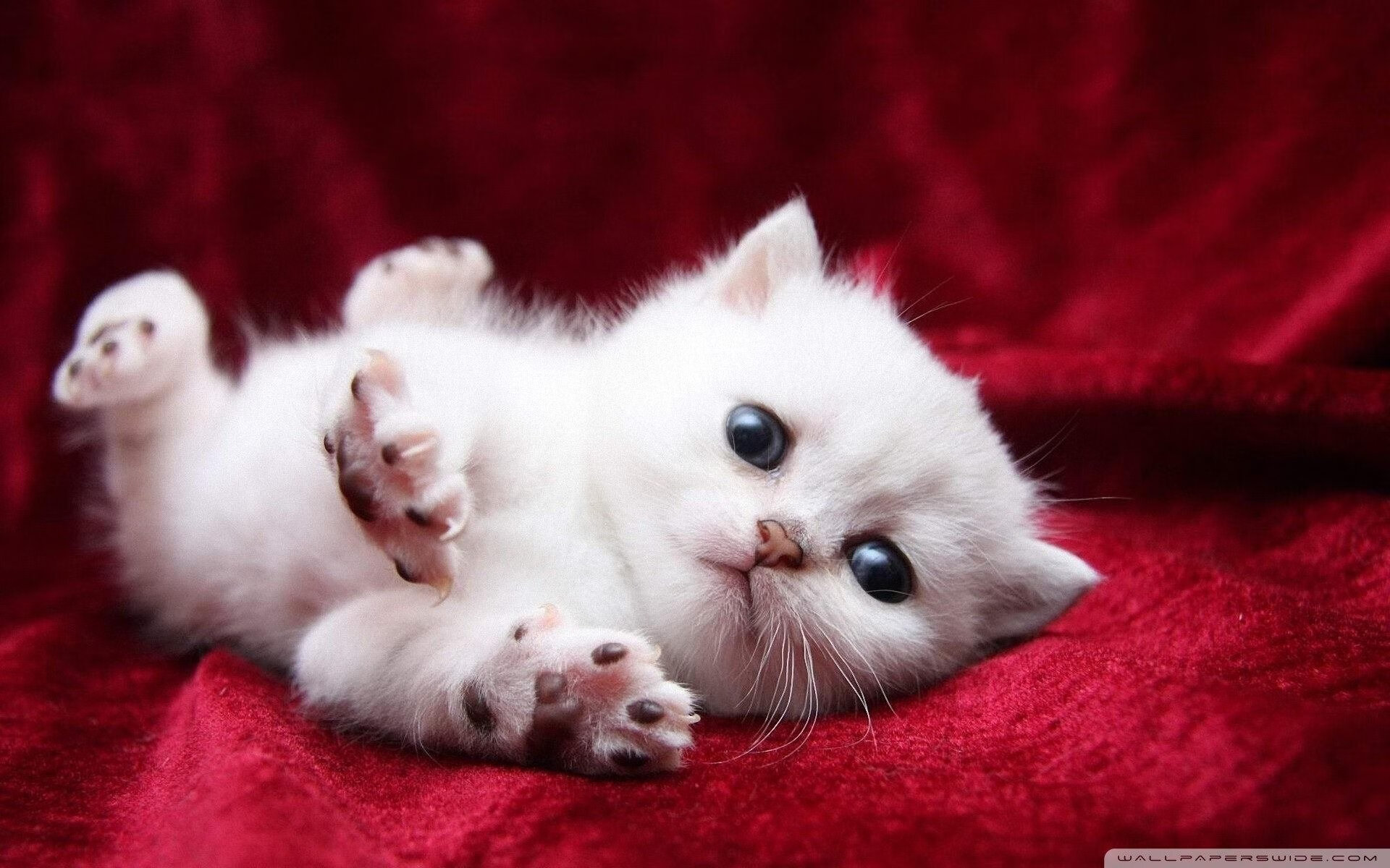 钢铁对决,热火逆转灰熊的年度焦点之战