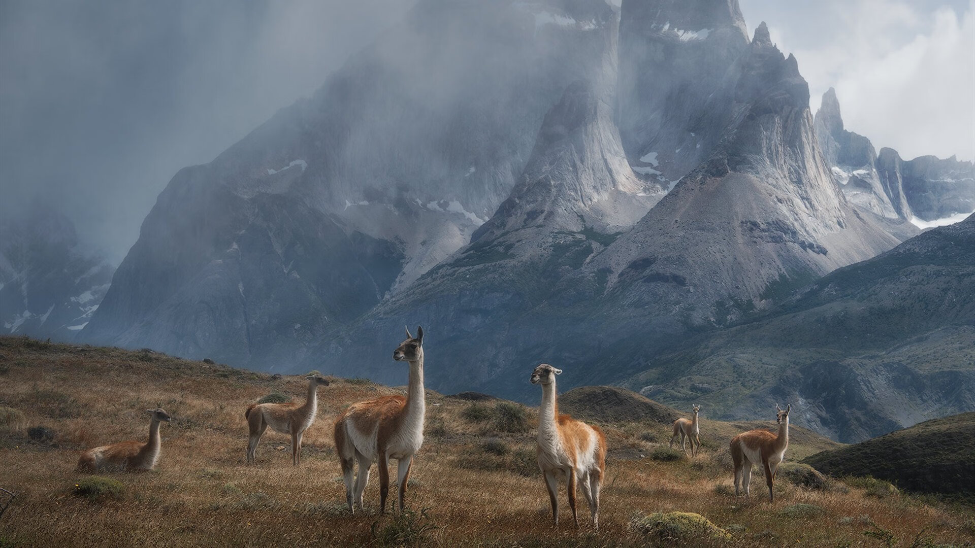 开云体育官方网站-最后一秒的星辰，2026世界杯之夜，杜兰特关键进球定乾坤